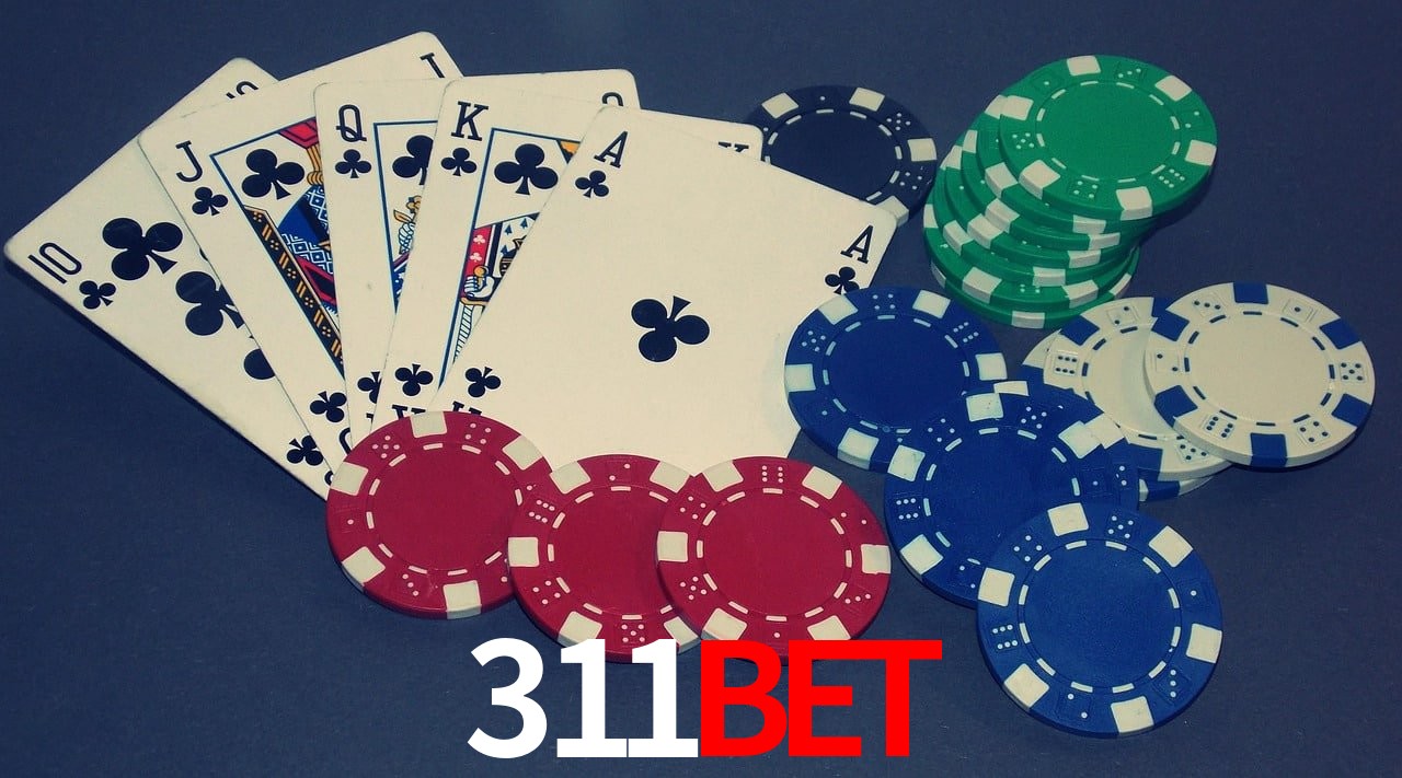 Game Providers 311bet